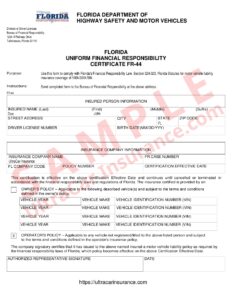 This is an example of a Florida FR44 Certificate